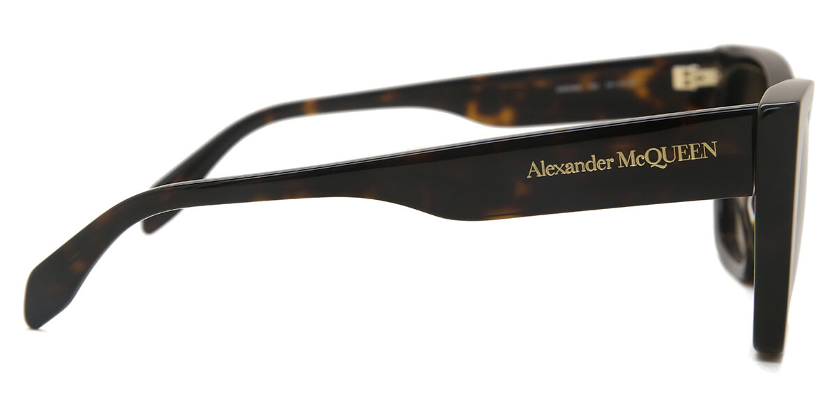 AM0299S サングラス Dark Havana | SmartBuyGlasses JP