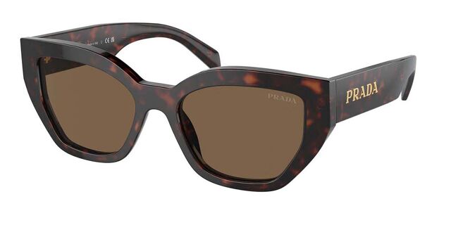 Prada PR A09SF Asian Fit 16N5Y1 Cat Eye Briar Tortoise  display picture 3