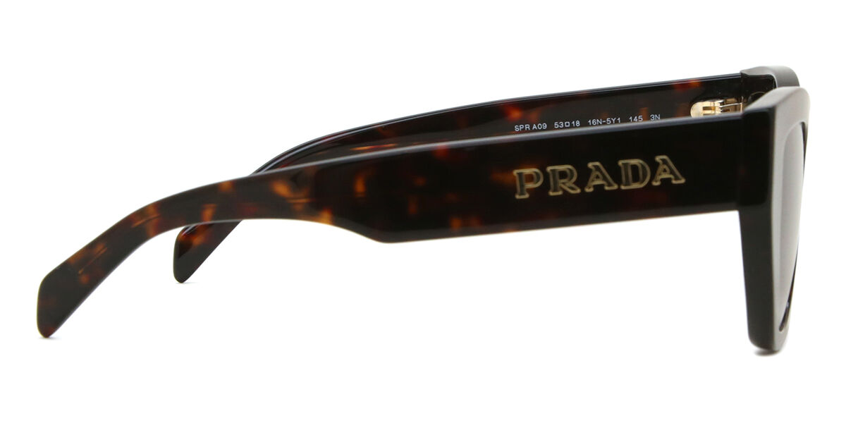 PR A09S sunglasses Briar Turtledove Tortoise