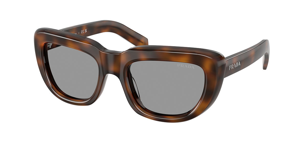 Prada Damen Juniper Tortoise Pr D07s 20D50q 53Mm Tortoiseshell Sonnenbrillen