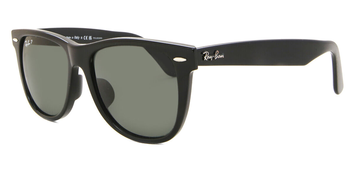 Ray ban hotsell polarized wayfarer