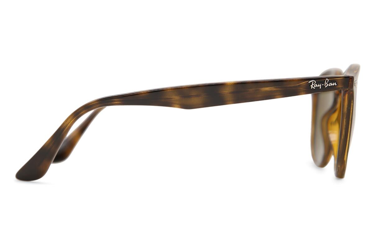 RB4259 óculos de sol Shiny Havana | OculosWorld BR