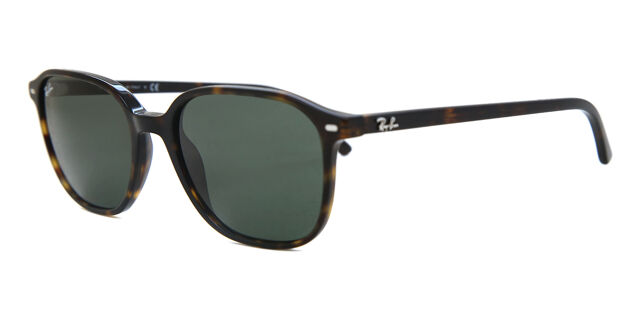 RB2193 Leonard sunglasses Vision Direct AU