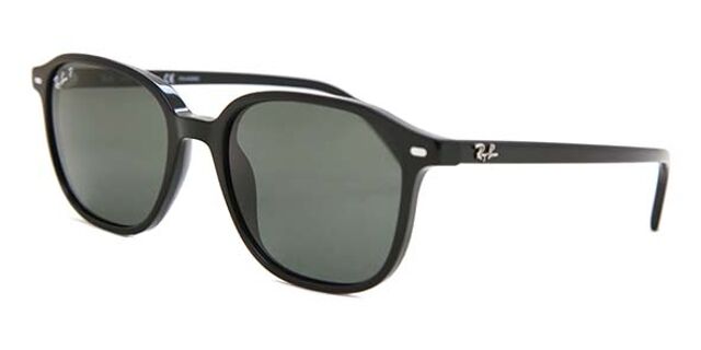 RB2193 Leonard Polarized sunglasses Black SmartBuyGlasses US