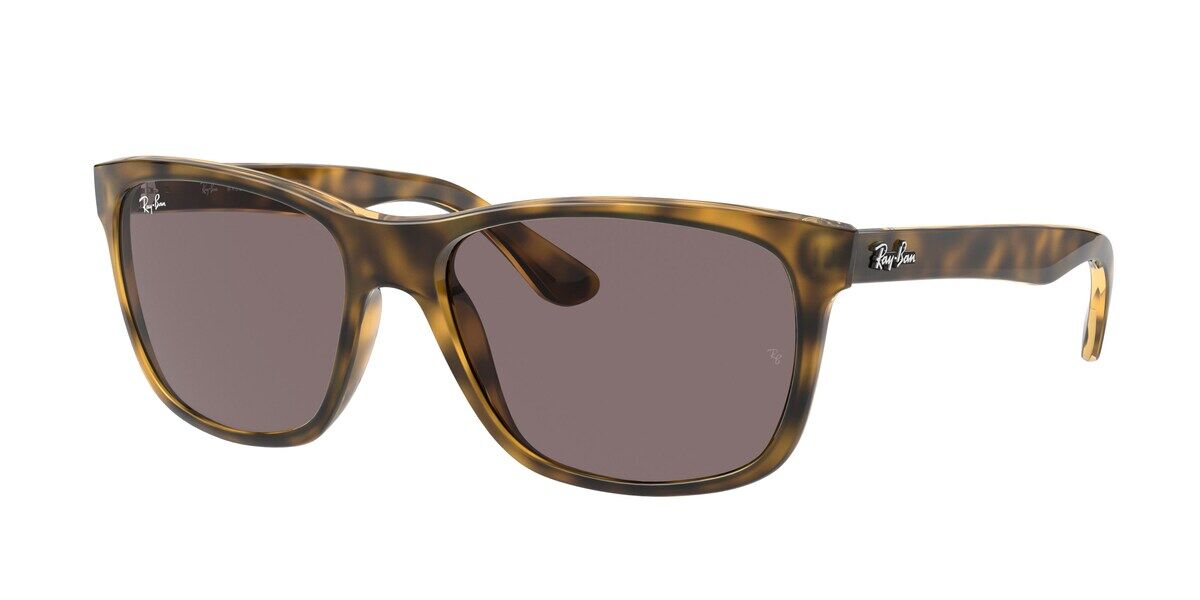 rayban 4181 710