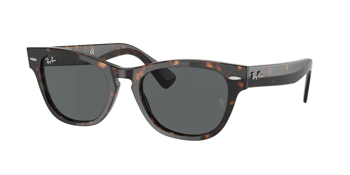 Ray-Ban RB2201 Laramie 902/B1 Sunglasses Tortoiseshell | VisionDirect ...