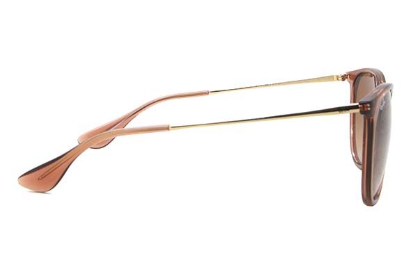 RB4171 Erika サングラス Transparent Light Brown