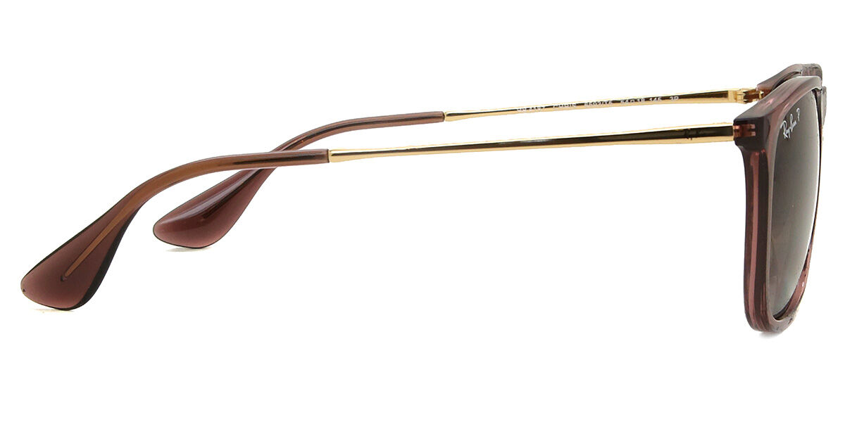 RB4187 Chris sunglasses Transparent Brown | SmartBuyGlasses US