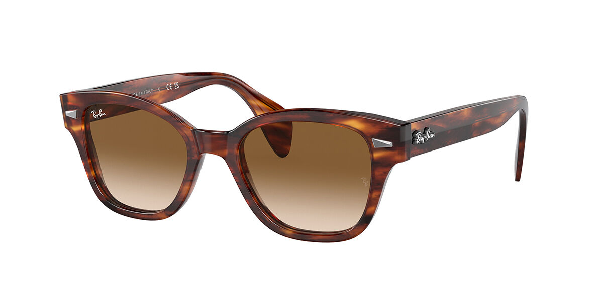 Ray-Ban RB0880S