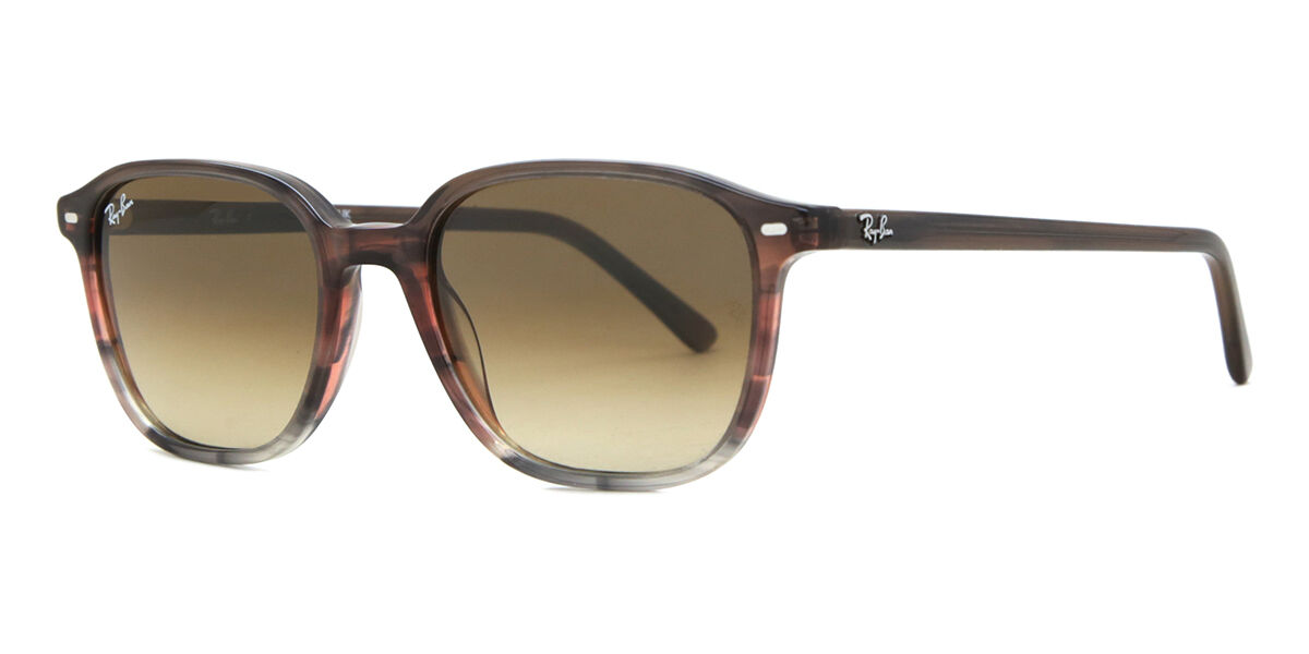 RB2193 Leonard sunglasses Pattern Transparent Red Brown