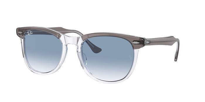 Ray-Ban RB2398 Eagle Eye 1376BH Oval Tortoise on Transparent  display picture 2