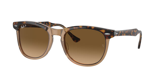 Ray-Ban RB2398 Eagle Eye Polarized 1292M2 Oval Tortoise on  display picture 3