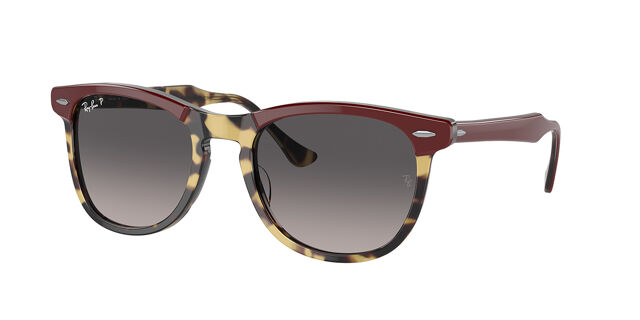 Ray-Ban RB2398 Eagle Eye Polarized 1377M3 Oval Burgundy on  display picture 1