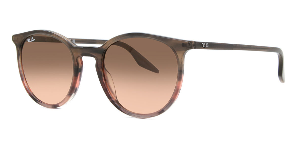 Ray Ban RB2204 サングラス(ブラウン) Ray-Ban RB2204 L (54 - 20) with Brown lenses and Brown frame