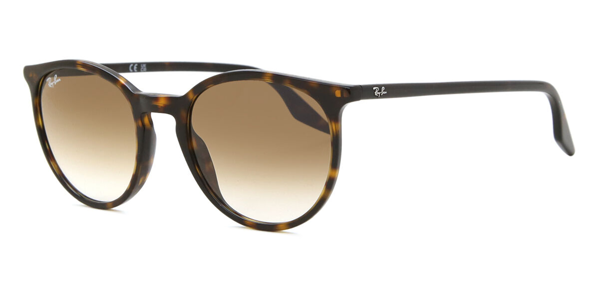 RB2204 サングラス Dark Tortoise | SmartBuyGlasses JP