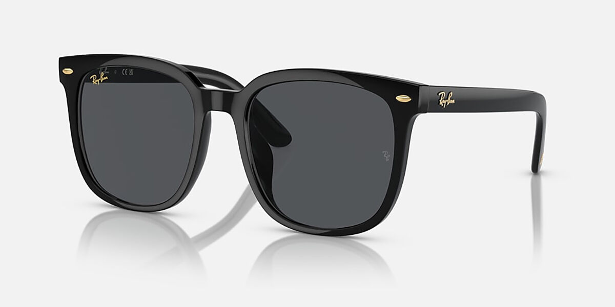 Ray-Ban RB4401D Asian Fit Polarized