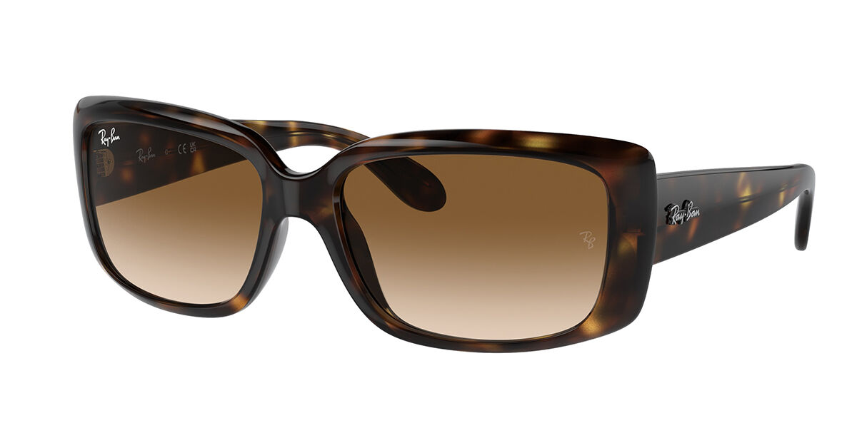 RB4389 sunglasses | SmartBuyGlasses Singapore