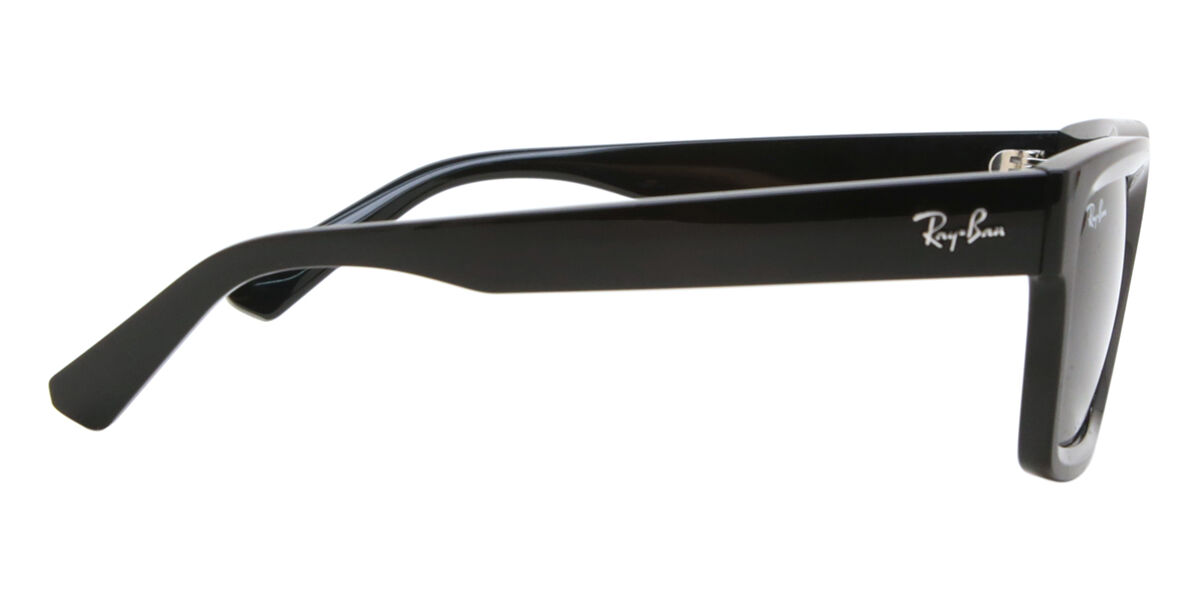 RB4396 Warren サングラス ブラック | SmartBuyGlasses JP