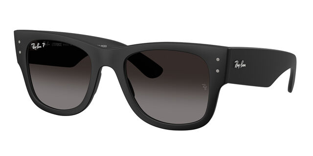 RB4840S Polarized