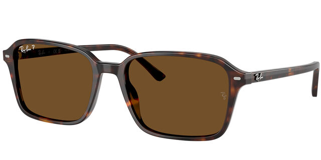 Ray-Ban Raimond Polarized Sunglasses NEW IN BOX Amazon.com: Ray-Ban RB2231 RAIMOND Square Shaped Non  main image 4
