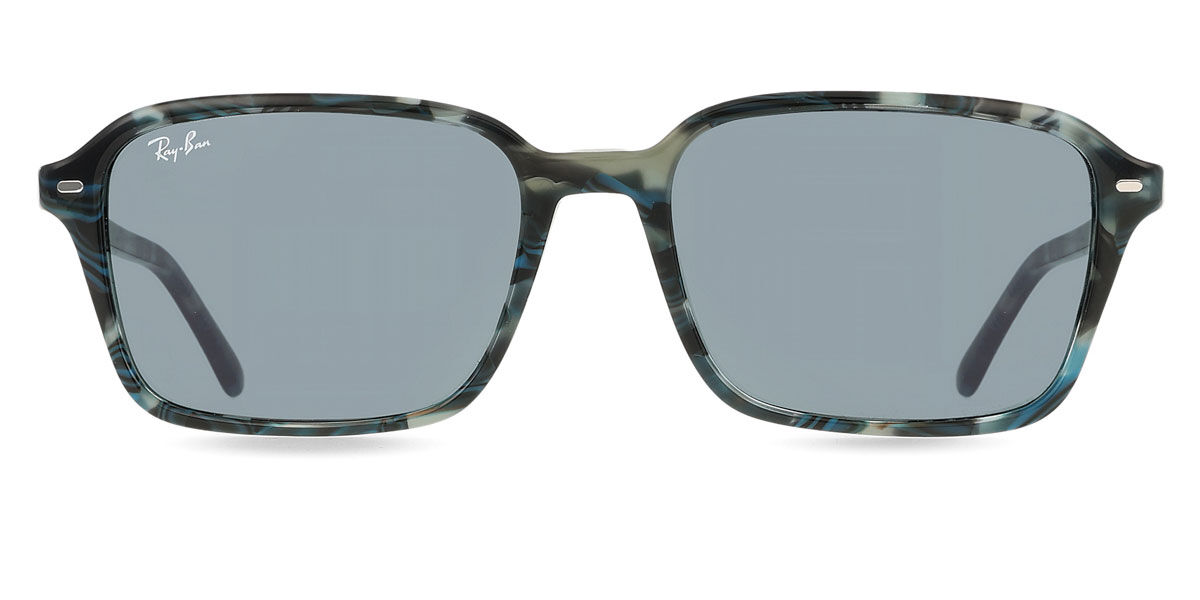 Ray-Ban RB2231 Raim… - image