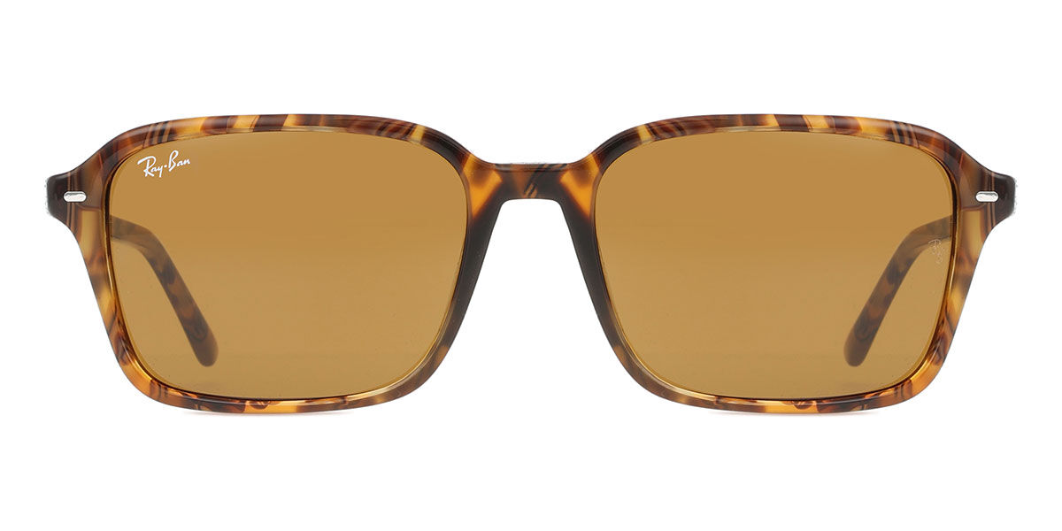 Ray-Ban RB2231 Raim… - image