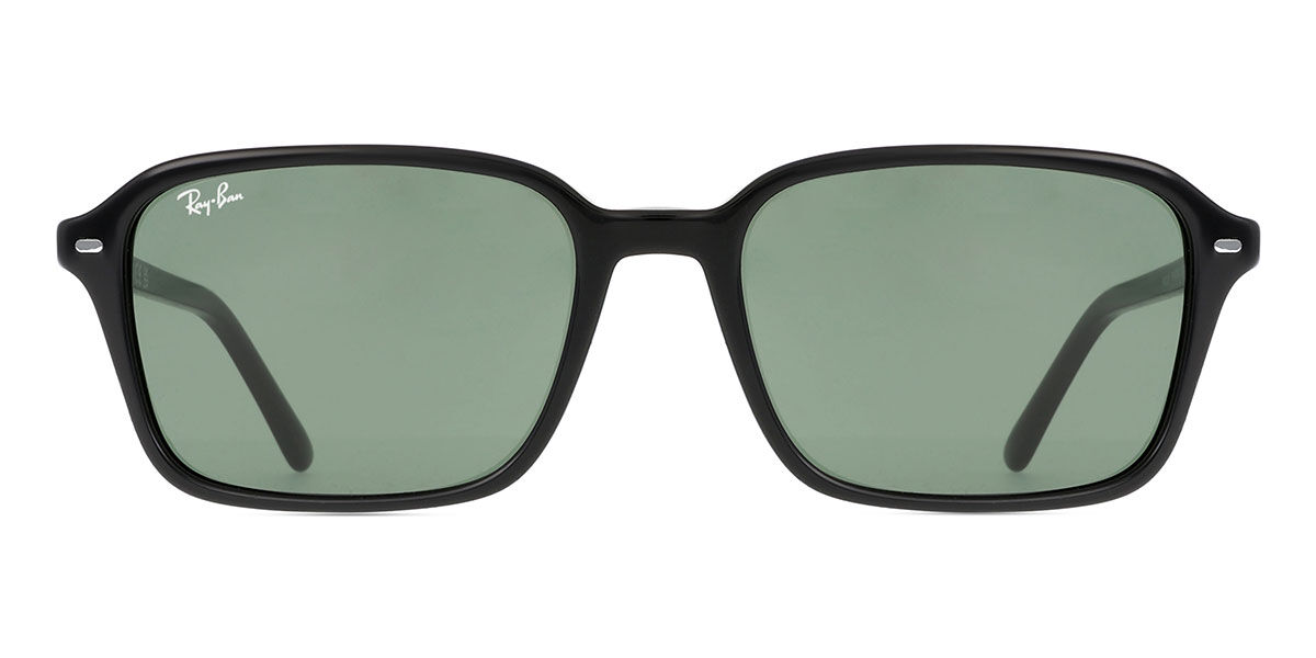 Ray-Ban RB2231 Raim…