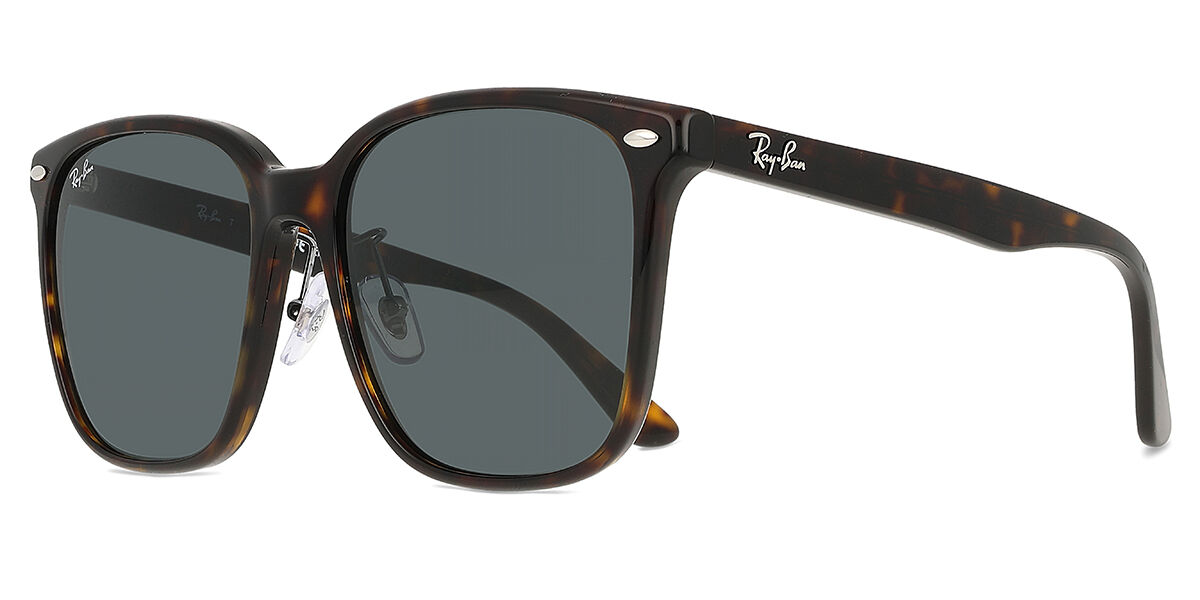 RB2206D Asian Fit サングラス Dark Tortoise | SmartBuyGlasses JP