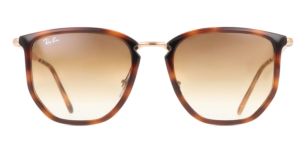 Ray-Ban 2025年モデル　RB4451 Ray-Ban RB4451 Sunglasses | LensCrafters