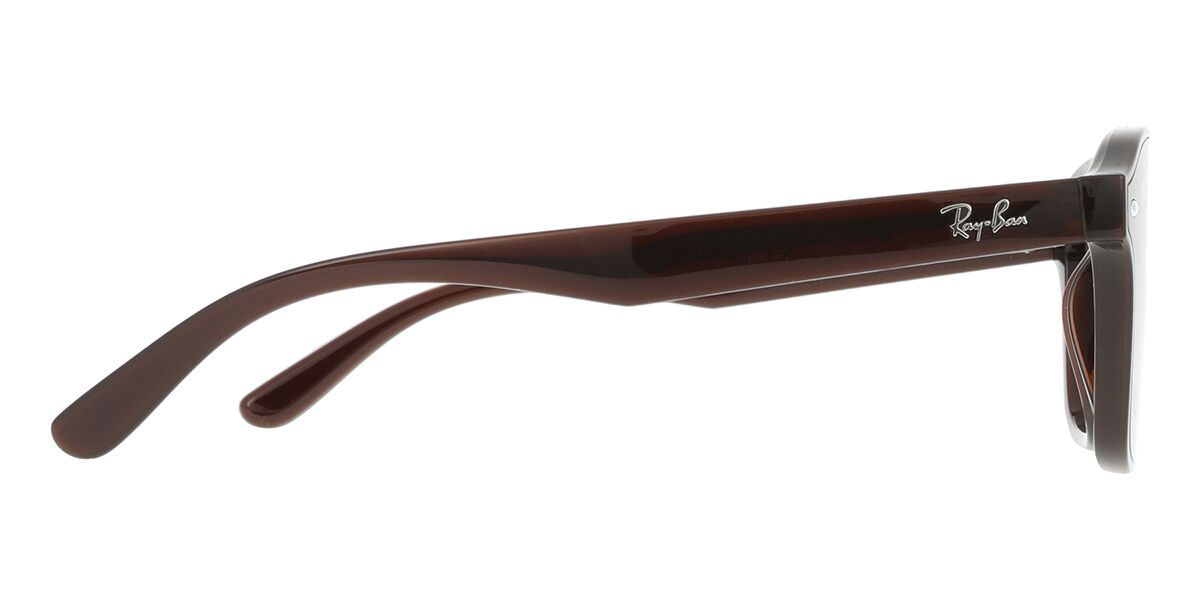 RB4458D Asian Fit サングラス Transparent Dark Brown