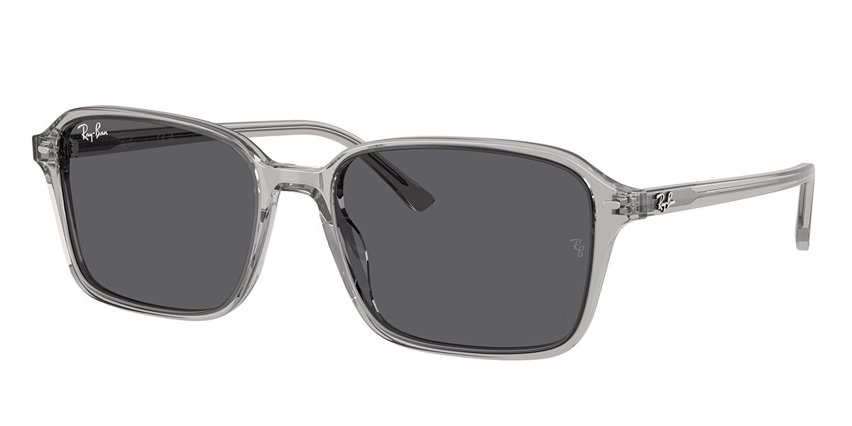 Ray-Ban RB2231 Raim… - image