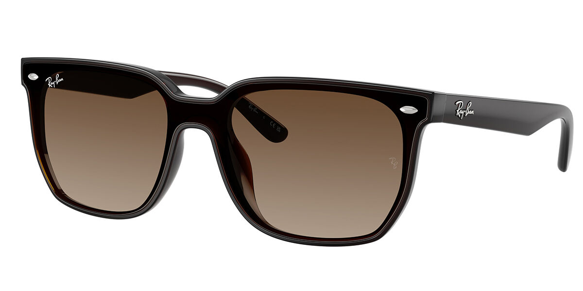 Ray-Ban RB4466D Asi… - image
