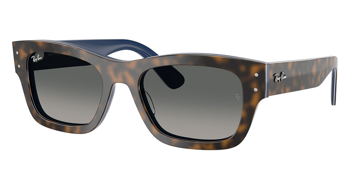 Ray-Ban RB7683S Jos… - image