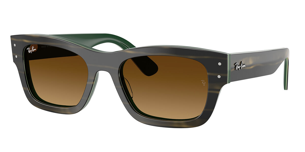 Ray-Ban RB7683S Jos… - image