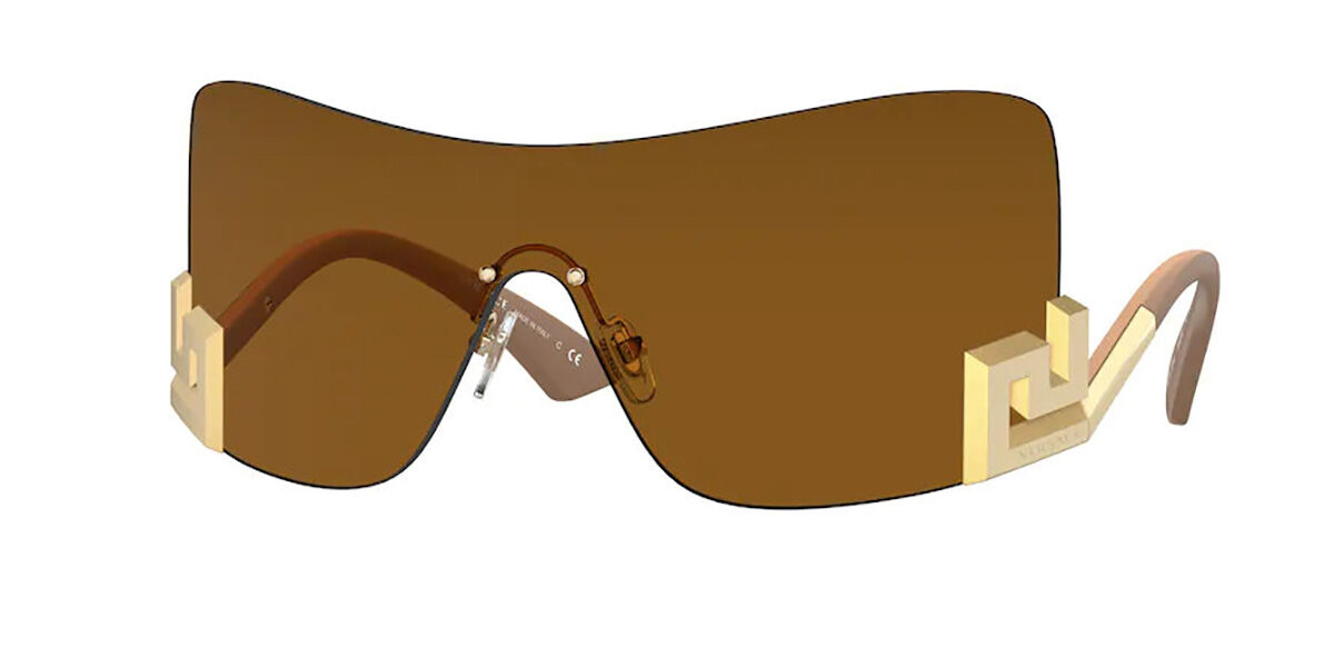 Versace VE2240 100263 Sunglasses in Brown SmartBuyGlasses USA
