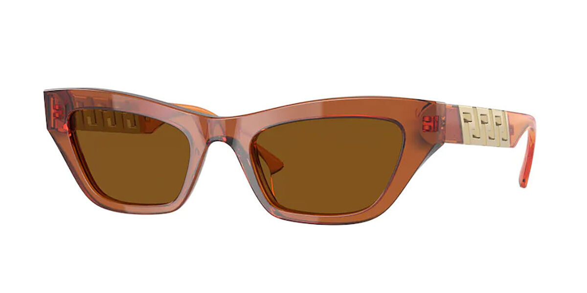 Versace Sunglasses VE4419 532963