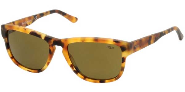 polo 4053 sunglasses