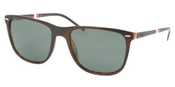 Polo shop sunglasses ph4064