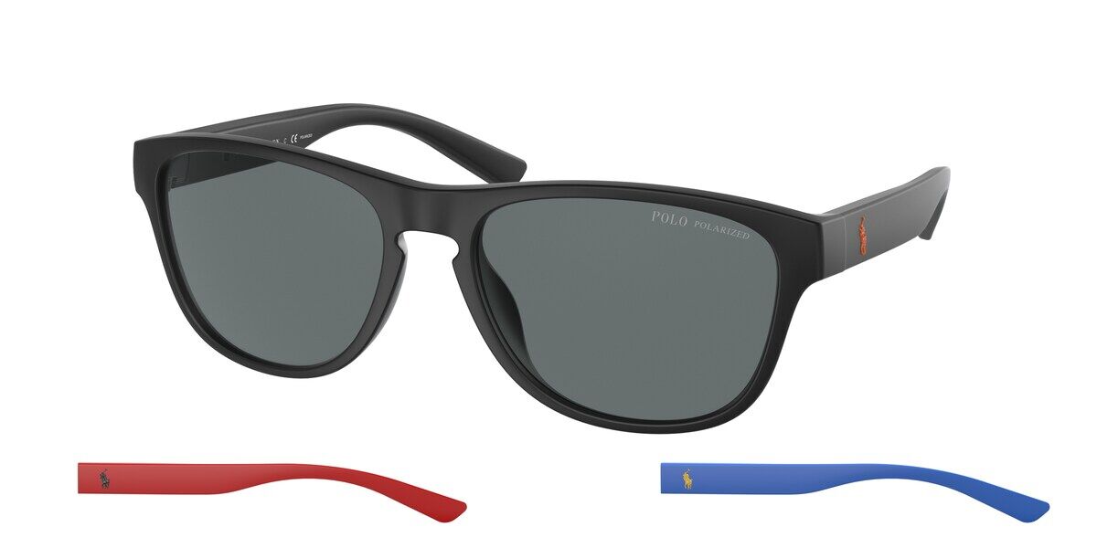 polo polarized