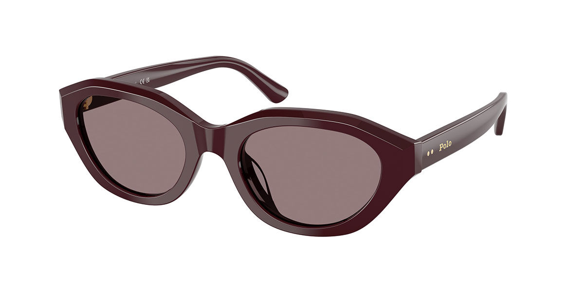 Polo Ralph Lauren PH4237U 63547N 52 Lunettes De Soleil Femme Purple