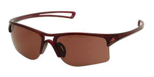 adidas raylor s sunglasses