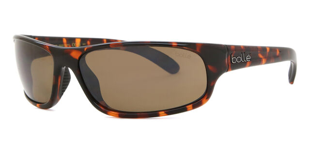 Anaconda Polarized sunglasses SmartBuyGlasses MY