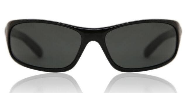 Anaconda Polarized