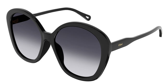 Chloé CH0081S 003 Butterfly Transparent Pink Sunglasses  display picture 3