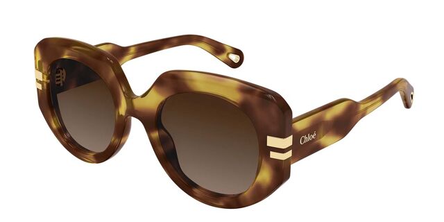 Chloé CH0257S 002 Oval Tortoise Sunglasses | SmartBuyGlasses US display picture 2