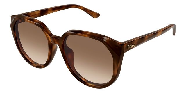 New Chloe Tortoise Frame Sunglasses Chloe Tortoise Frame Sunglasses – Uniquely Southern Boutique  main image 3
