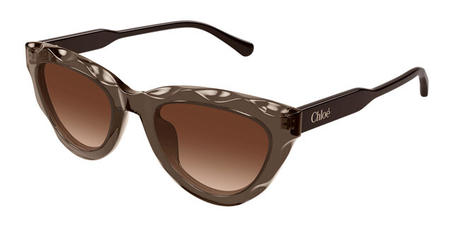 Chloé CH0294S 003 Cat Eye Transparent Brown Sunglasses  display picture 3