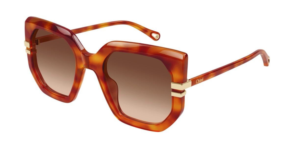 Chloé CH0240S 007 53 Sköldpaddemönstradeshell Solglasögon Kvinna