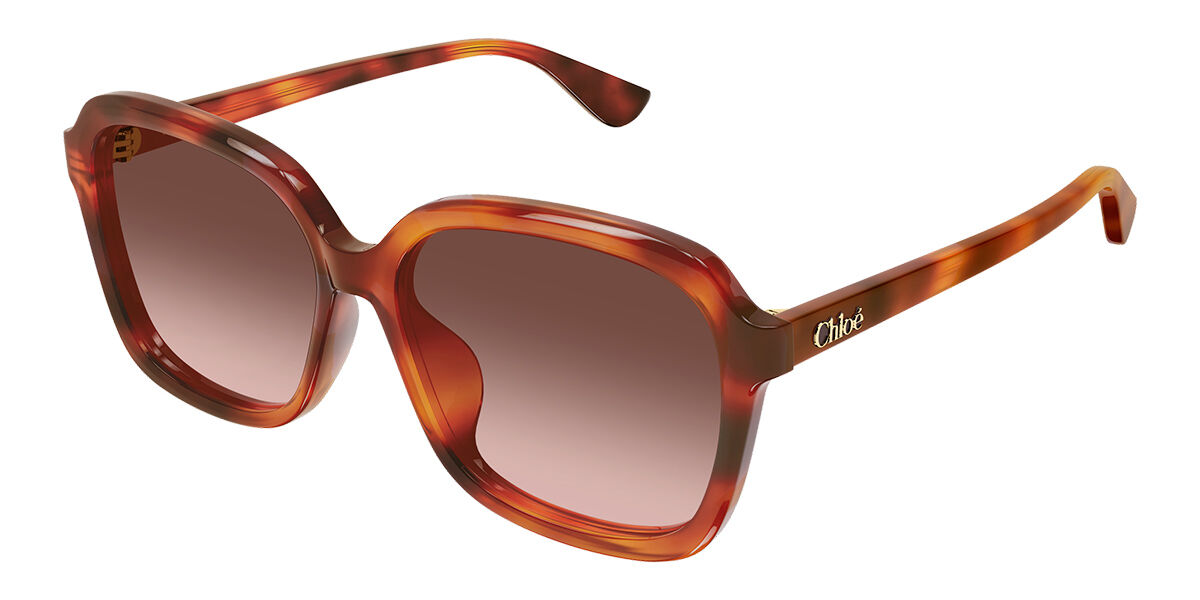 Chloé CH0390SK Asian Fit 002 59 Lunettes De Soleil Femme Ecailléesshell