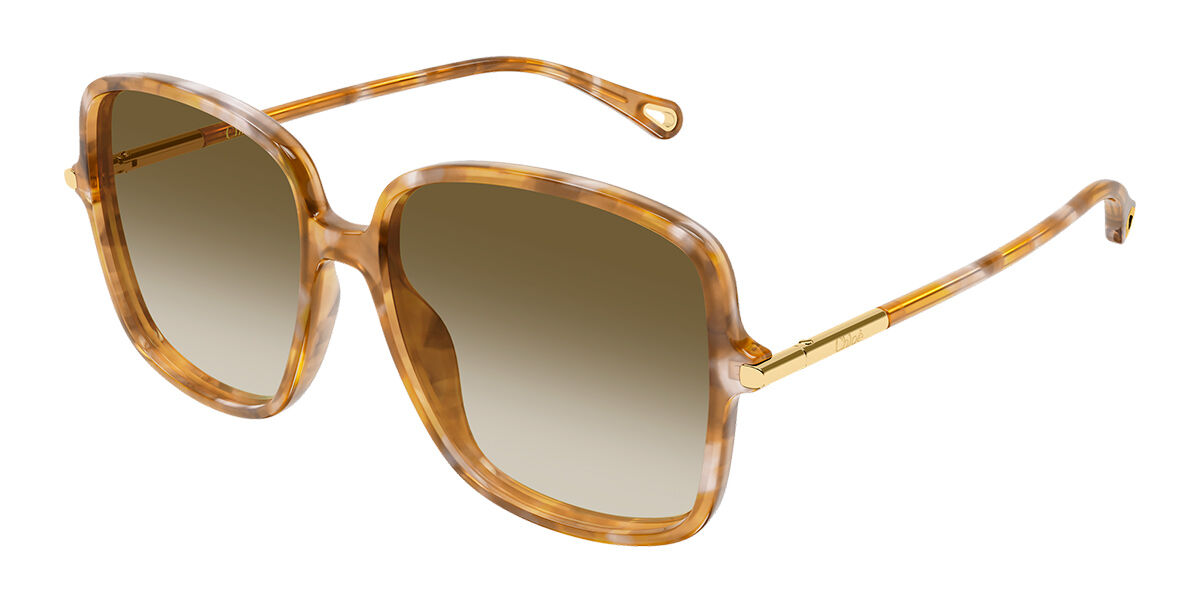 Chloé CH0396S 003 55 Lunettes De Soleil Femme Ecailléesshell